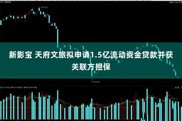 新影宝 天府文旅拟申请1.5亿流动资金贷款并获关联方担保