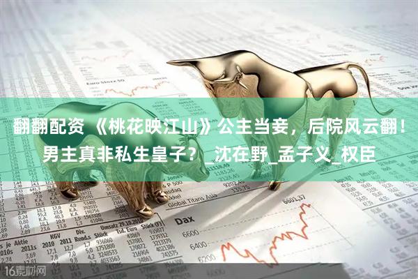 翻翻配资 《桃花映江山》公主当妾，后院风云翻！男主真非私生皇子？_沈在野_孟子义_权臣