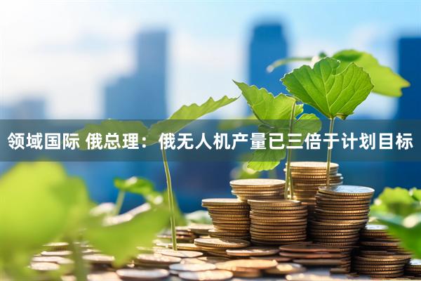 领域国际 俄总理：俄无人机产量已三倍于计划目标