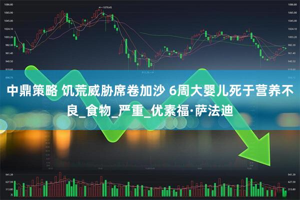 中鼎策略 饥荒威胁席卷加沙 6周大婴儿死于营养不良_食物_严重_优素福·萨法迪