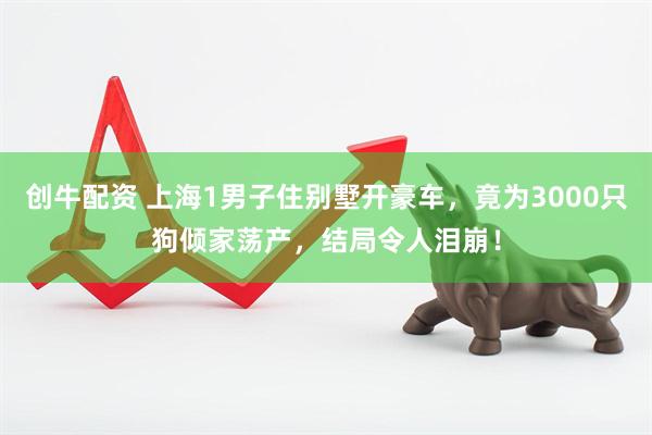 创牛配资 上海1男子住别墅开豪车，竟为3000只狗倾家荡产，结局令人泪崩！