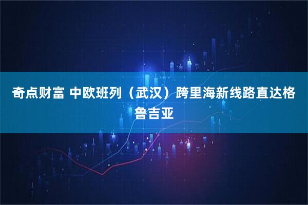 奇点财富 中欧班列（武汉）跨里海新线路直达格鲁吉亚