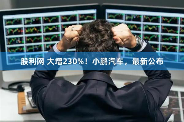 股利网 大增230%！小鹏汽车，最新公布